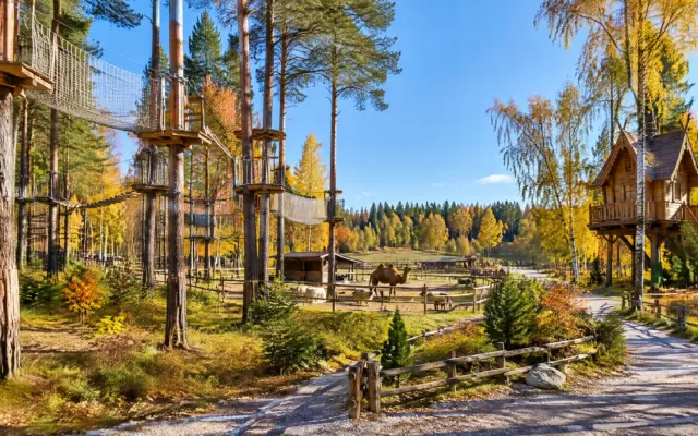 Куда съездить с детьми на осенние каникулы: семь мест у Москвы