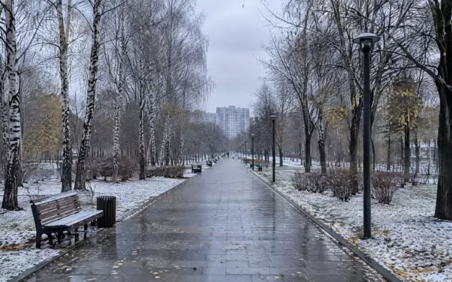 Первый снег в Москве и Подмосковье может выпасть в конце октября