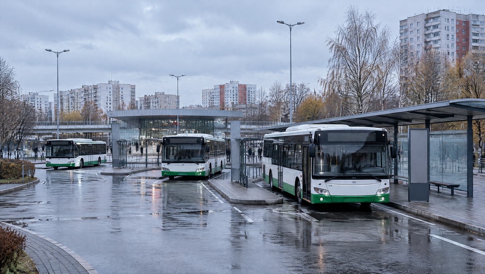 Три новых автобусных маршрута свяжут Мытищи с метро «Медведково»