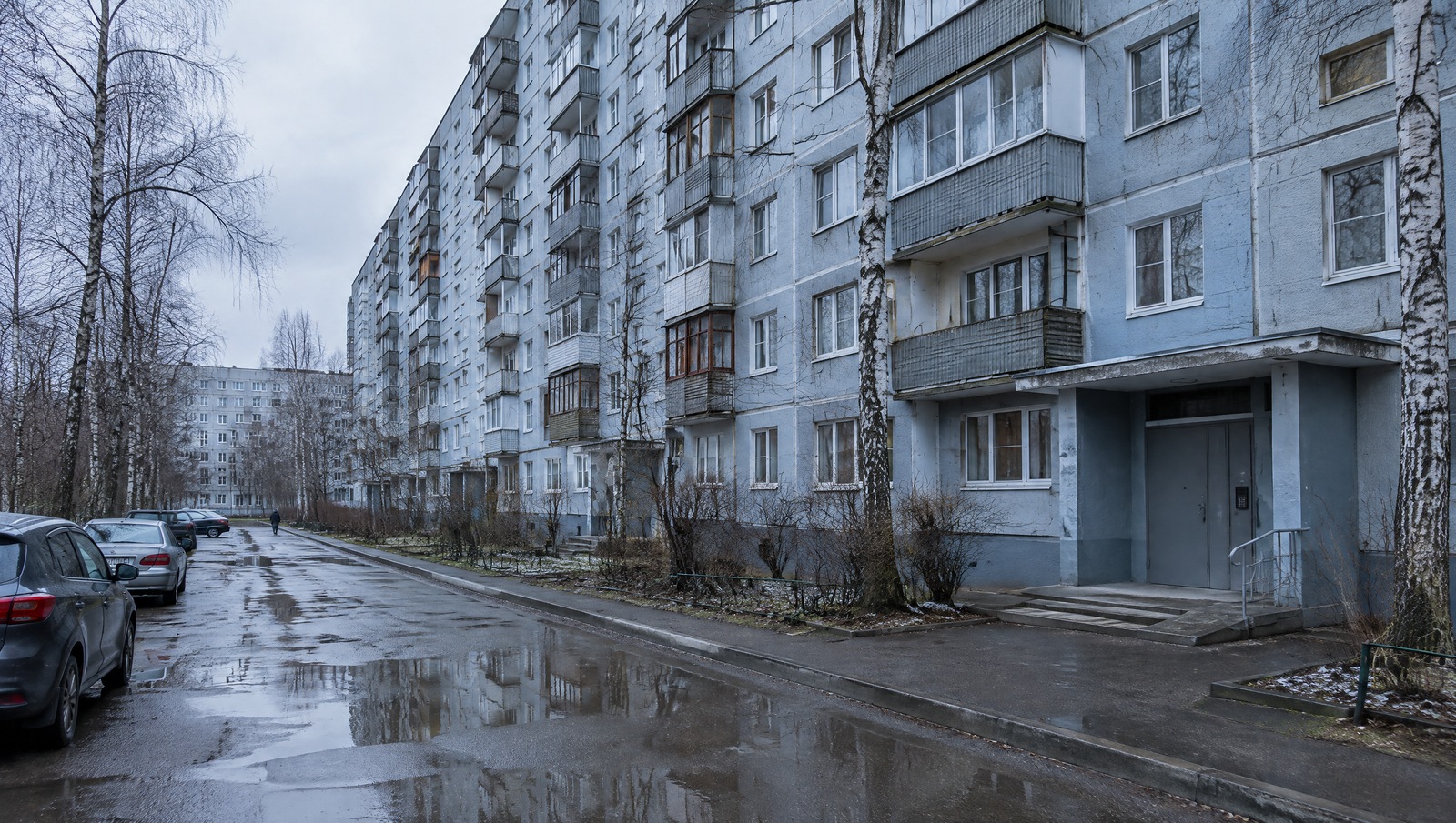 В Красногорске задержали мужчину по подозрению в ранении матери ножом