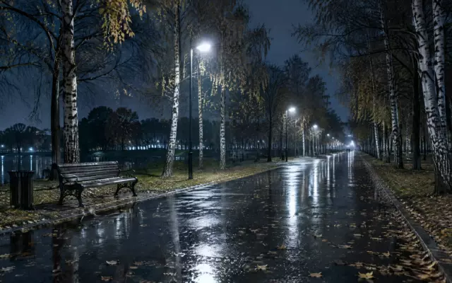 В Москве ищут 30-летнюю девушку, пропавшую по дороге через парк